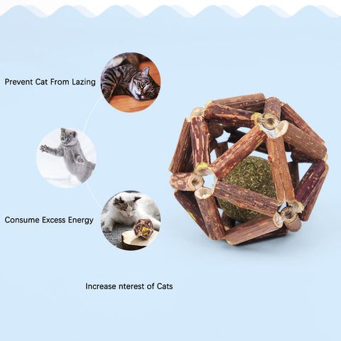 Cat Interactive Wooden Teeth Cleaning Catnip Ball Toy