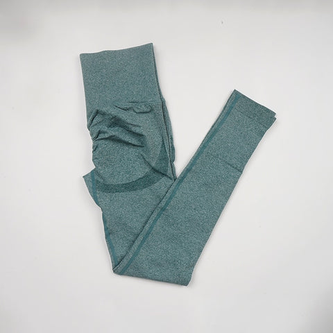 Women Seamless Yoga Fitness Workout Clothes