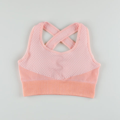 Women Seamless Sports Gym Suits