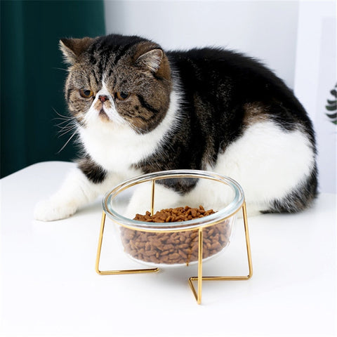 Cat Non-Slip Glass Bowl