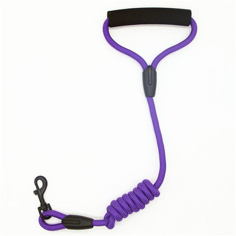 Pets Dog running leash