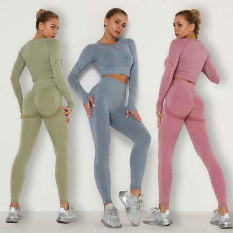 Women Seamless Yoga Fitness Workout Clothes