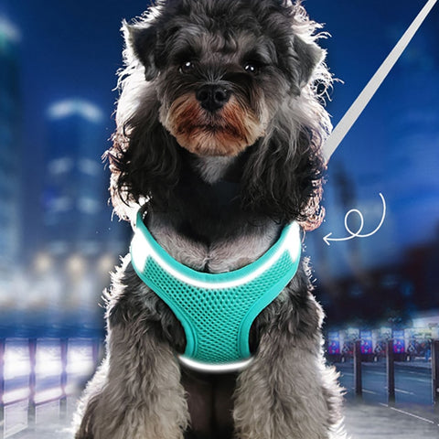 New Harness Vest Chest Rope Set