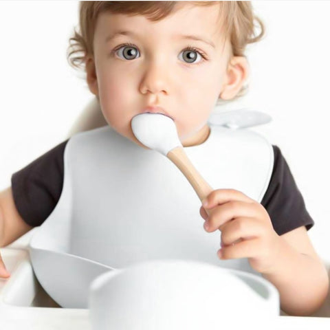 Baby Silicone Plate Spoon Set