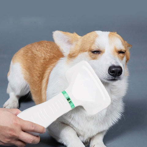 2-in-1 Pet Hair Dryer & Grooming Brush