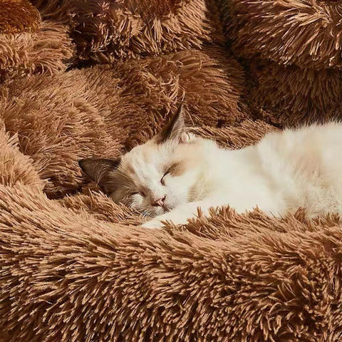 New Warm Accessories Large Dog Bed
