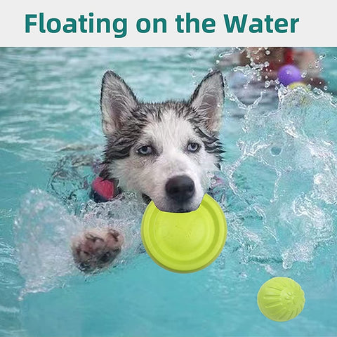 Dog Flying Disc & Ring Puller Toys