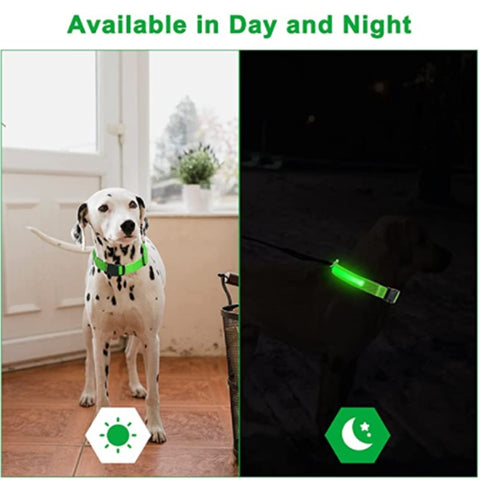 New LED Glowing Dog Collar