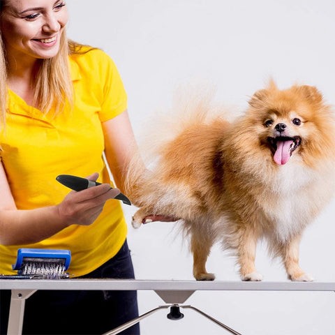 Pet Rechargeable Clipper