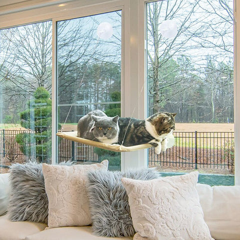 New Pets Window Shelves Beds