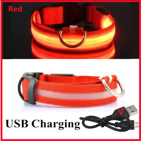 New LED Glowing Dog Collar