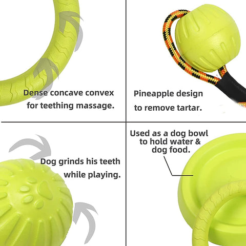 Dog Flying Disc & Ring Puller Toys
