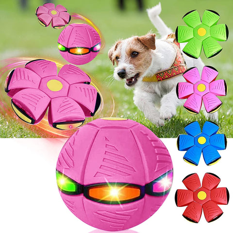 2023 New Pet Magic Flying Saucer Ball Toys