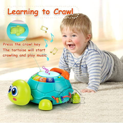 Baby Musical Turtle Toy