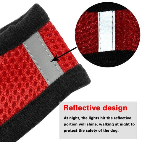 Adjustable Cat Dog Harness Leash