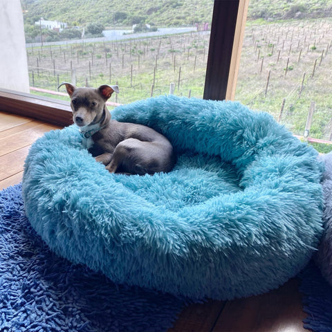 New Super Soft Dog Bed