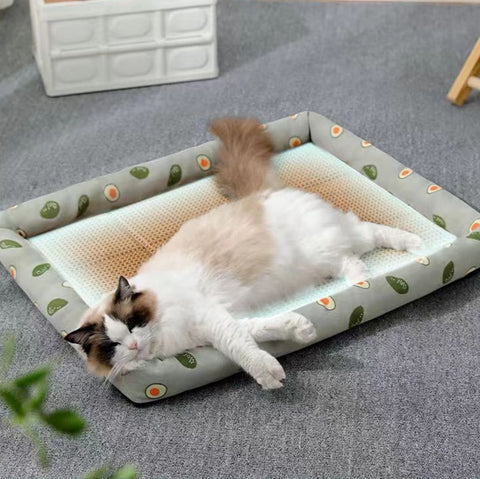 New Summer Cat Bed