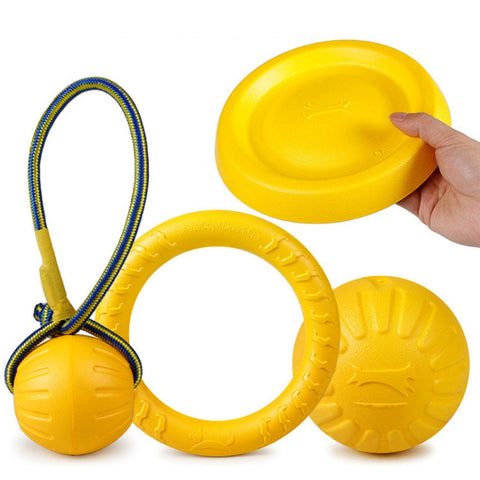 Dog Flying Disc & Ring Puller Toys