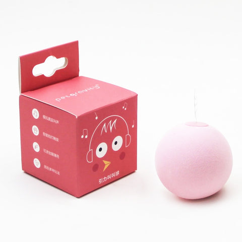 New Interactive Ball Plush Electric Catnip Training Toy