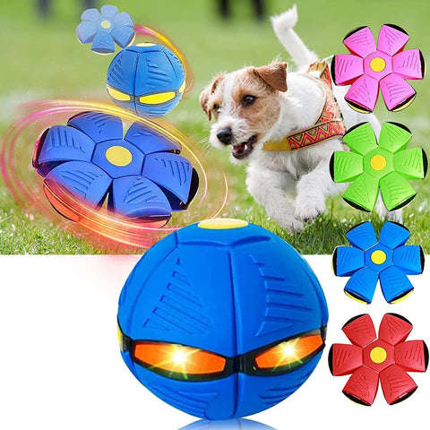 2023 New Pet Magic Flying Saucer Ball Toys
