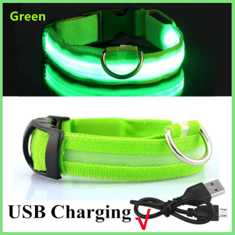 New LED Glowing Dog Collar