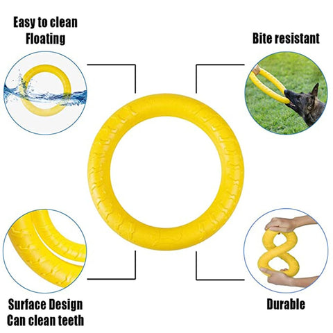 Dog Flying Disc & Ring Puller Toys