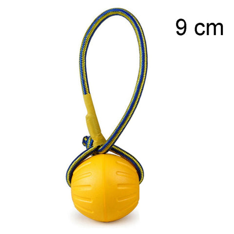 Dog Flying Disc & Ring Puller Toys