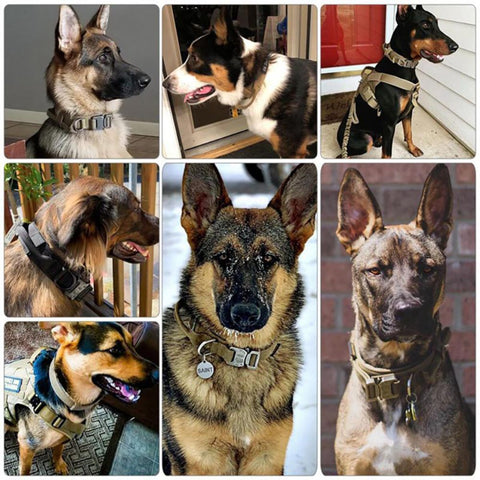 New Tactical Dog Collar