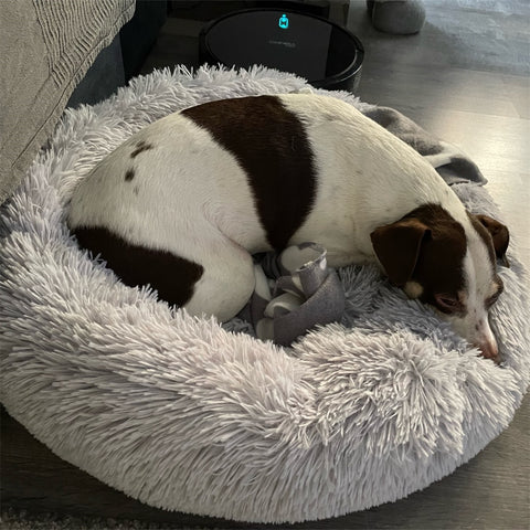 New Super Soft Dog Bed