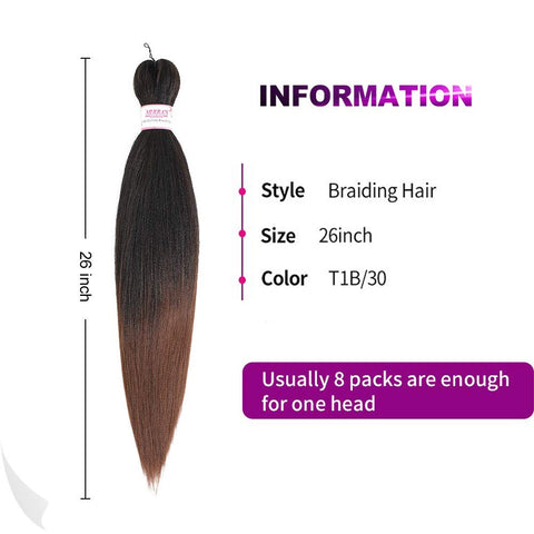 Ombre EZ Braids Crochet Hair