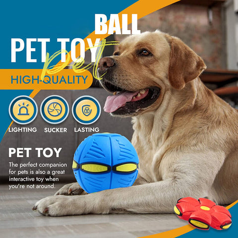 2023 New Pet Magic Flying Saucer Ball Toys