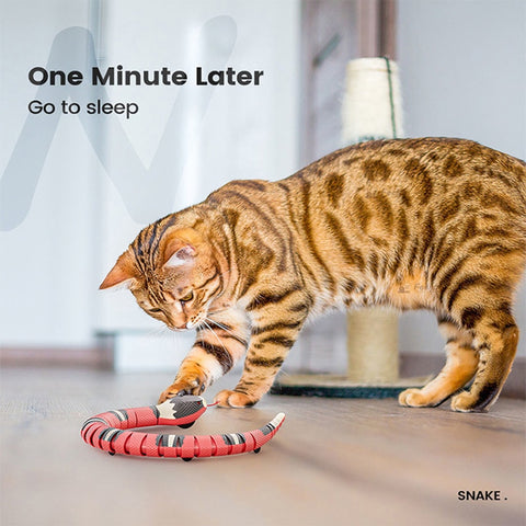 Automatic Cat Smart Sensing Snake Toys