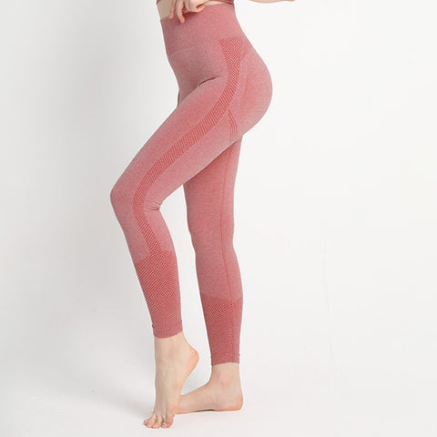 Women Fitness Seamless Workout Leggings