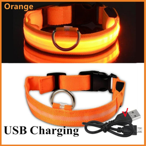 New LED Glowing Dog Collar