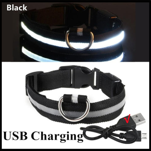 New LED Glowing Dog Collar