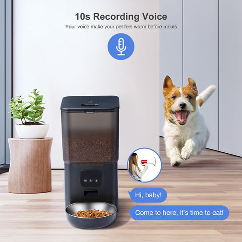 6L Smart WIFI Automatic Pet Feeder