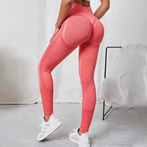 Women Fitness Seamless Workout Leggings