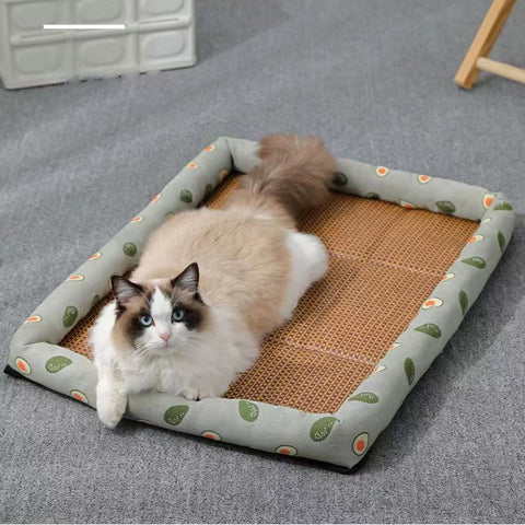 New Summer Cat Bed