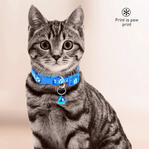 New Colorful Pet Pattern Small Collar