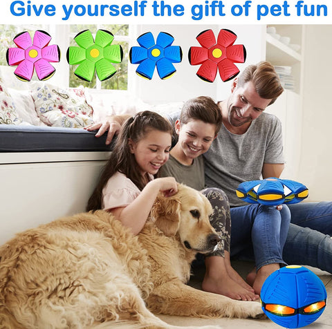 2023 New Pet Magic Flying Saucer Ball Toys