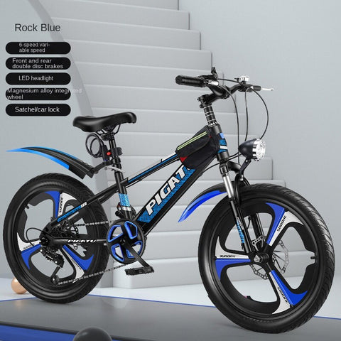 New Variable Speed Bicycle