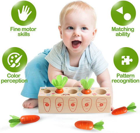 Montessori Pull Carrot Set Wooden Toy