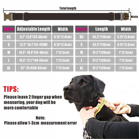 Dog Custom ID Tag Collar