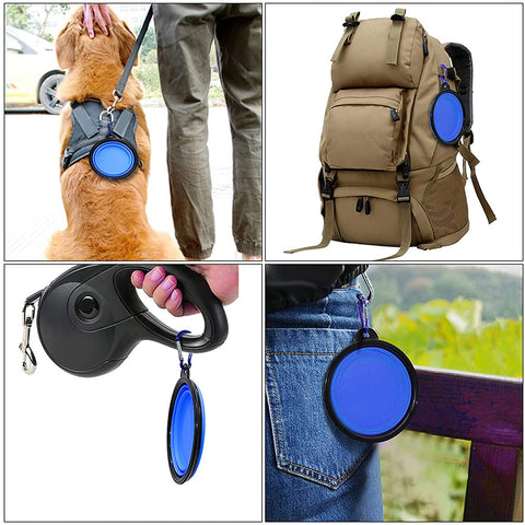 Dog Silicone Foldable Bowl
