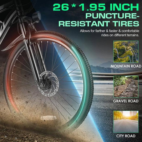 New 500W Electric Bike