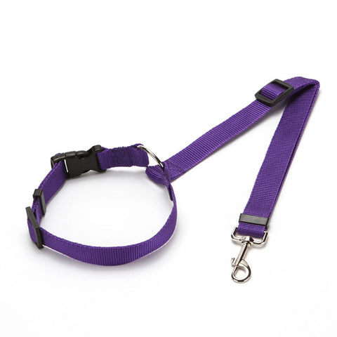 Two-in-one Nylon Adjustable Dogs Harness