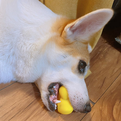 Pet Yellow Duck Chew Toy
