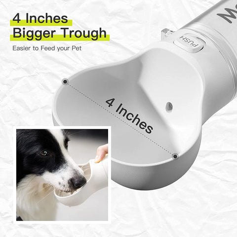 Pet Water Feeder Bowl