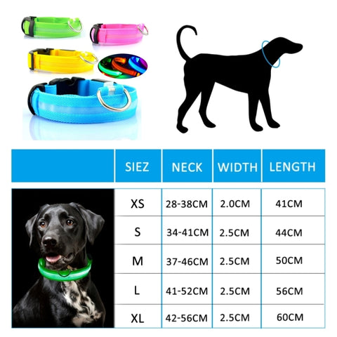 New Dog Light Anti-lost Collar