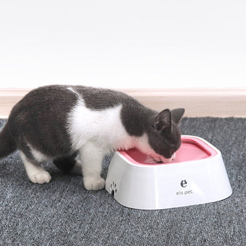 Pet Automatic Drinking Water Bowl
